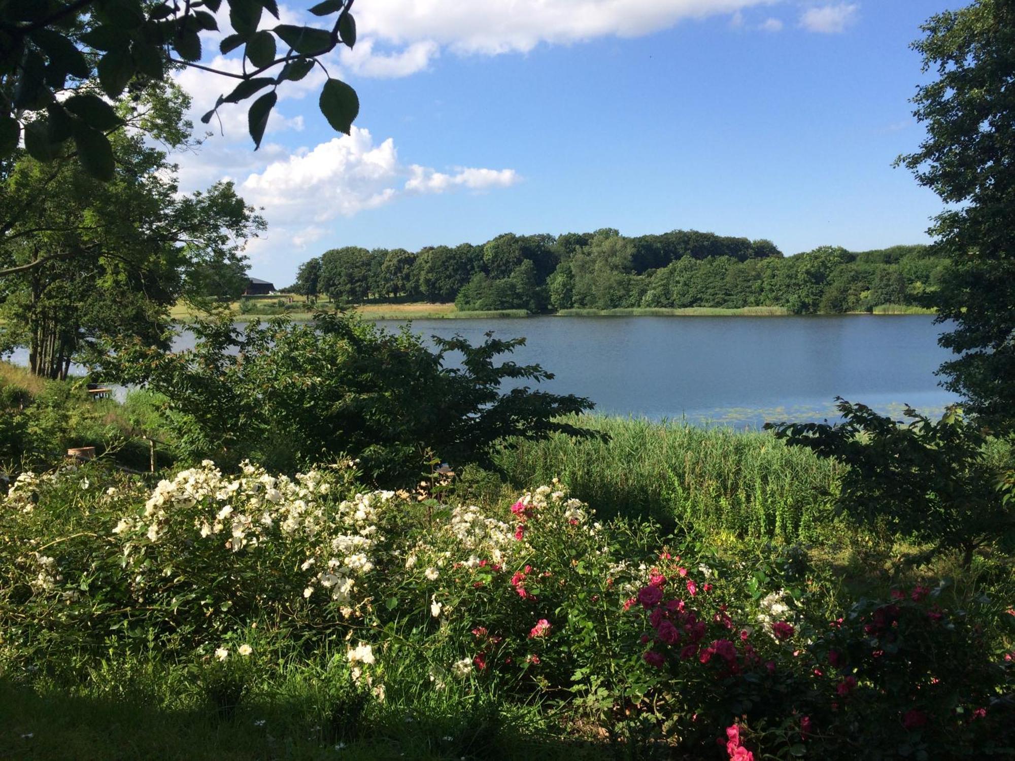 Ferienhaeuser Poenitz Am See Klingberg Eksteriør billede